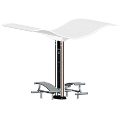 双柱腹肌板(图4)