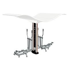 双柱腹肌板(图5)