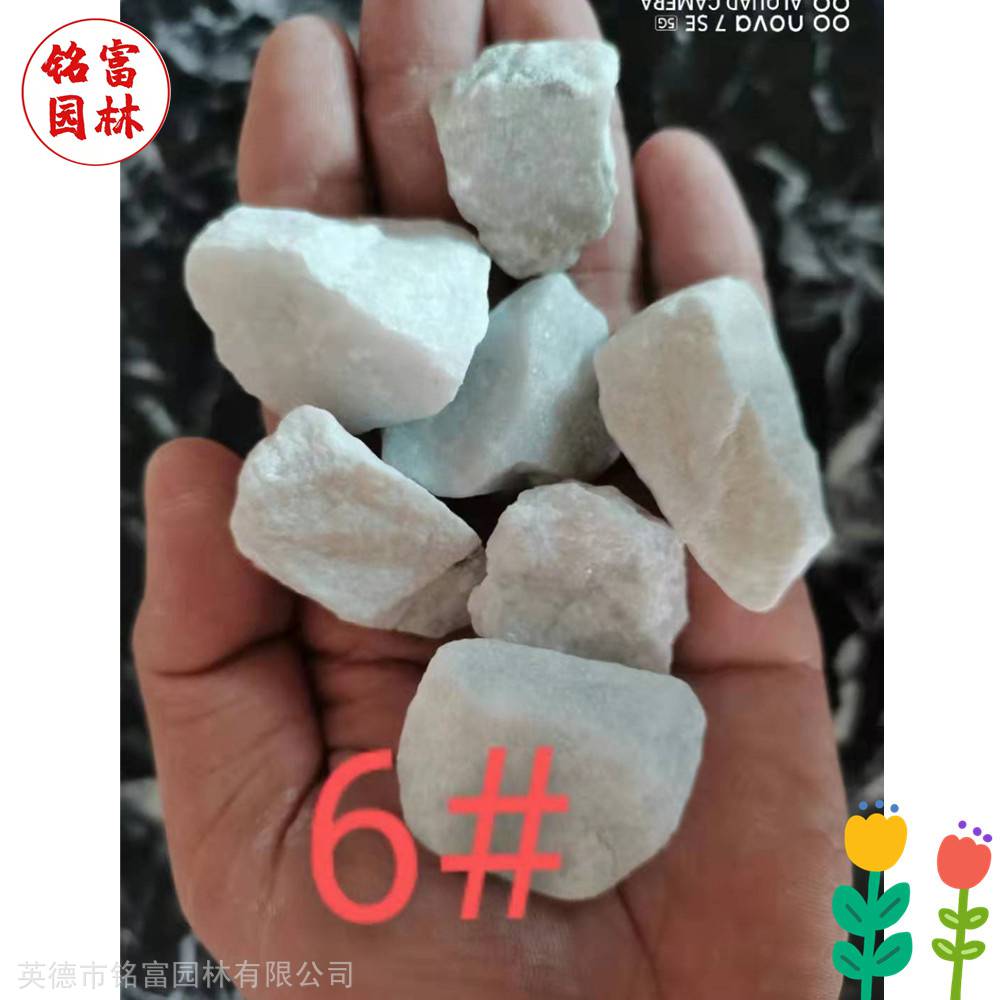 花园路径铺路石-白色鹅卵石-茂名鹅卵石厂家(图3) 花园路径铺路石-白色鹅卵石-茂名鹅卵石厂家(图3)