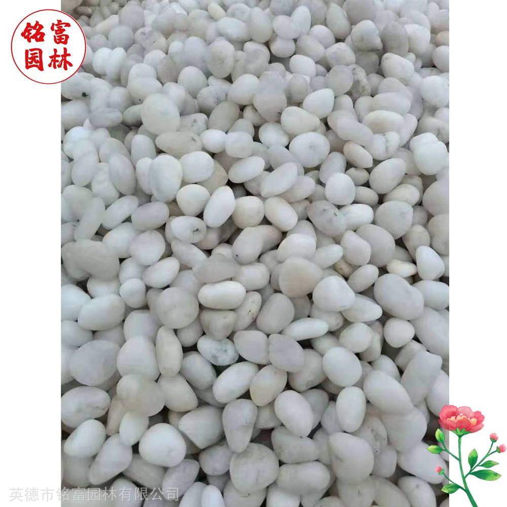 花园路径铺路石-白色鹅卵石-茂名鹅卵石厂家(图8) 花园路径铺路石-白色鹅卵石-茂名鹅卵石厂家(图8)