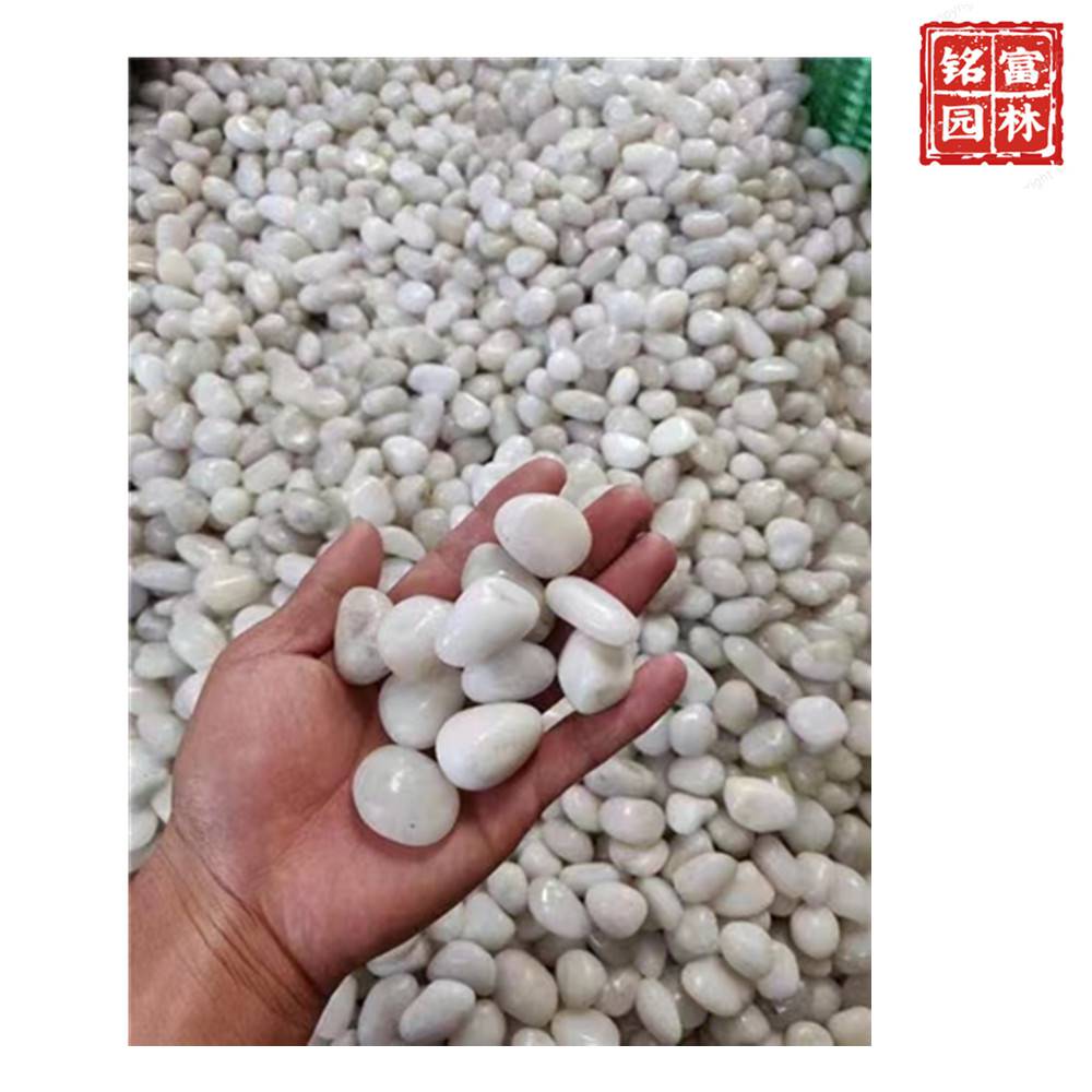 花园路径铺路石-白色鹅卵石-茂名鹅卵石厂家(图12) 花园路径铺路石-白色鹅卵石-茂名鹅卵石厂家(图12)