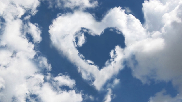 开元集团室内运动健身女生体育硕士